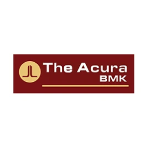 the-acura-bmk.png